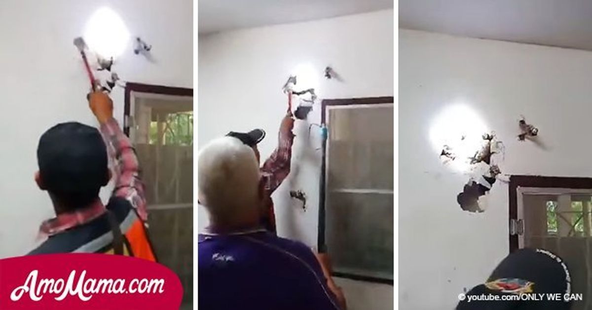 Die Leute hörten Geräusche in der Wand. Sie haben es zerbrochen, nur um eine schreckliche