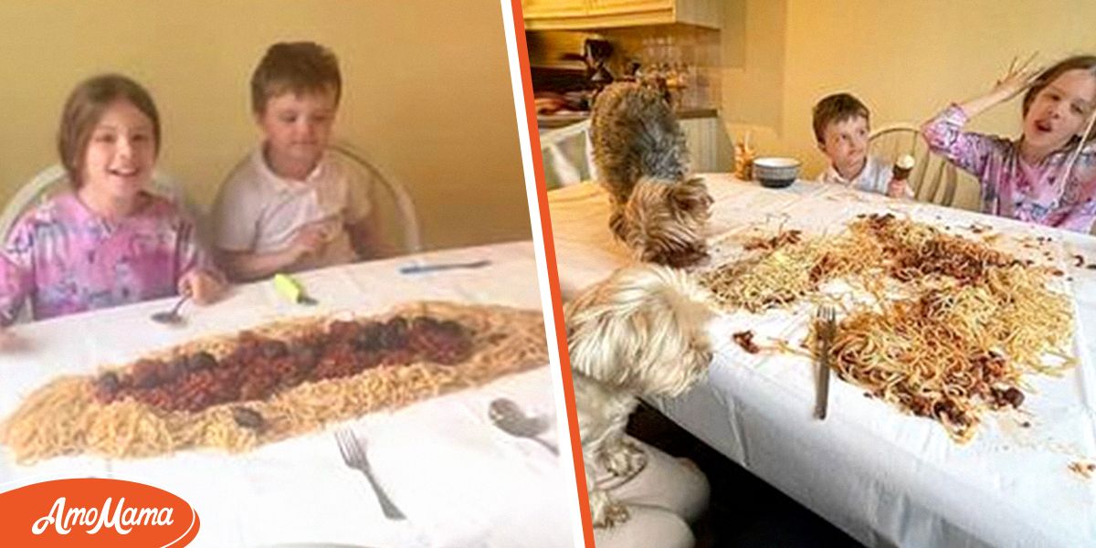 "Das ist ekelhaft" Kinder müssen vom Tisch essen, wenn ein Hund in der Nähe ist, damit Mama die