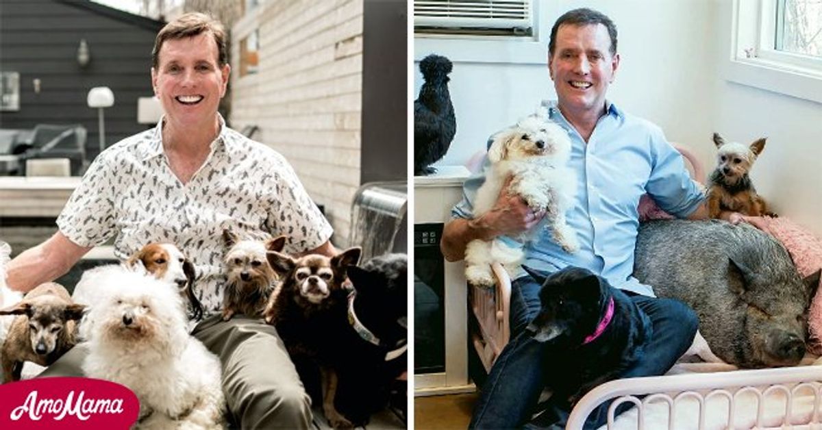 Das ist Steve Greig, der für einen ruhigen Lebensabend für Hunde